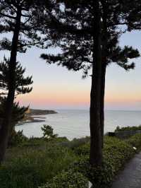 The Shilla Jeju๐ One of the best stay experiences in Jeju