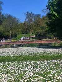 Nature Walk Charm🍃
