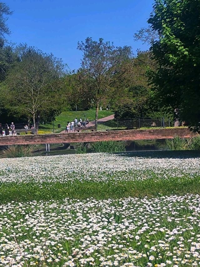 Nature Walk Charm🍃 Nature Walk Charm🍃