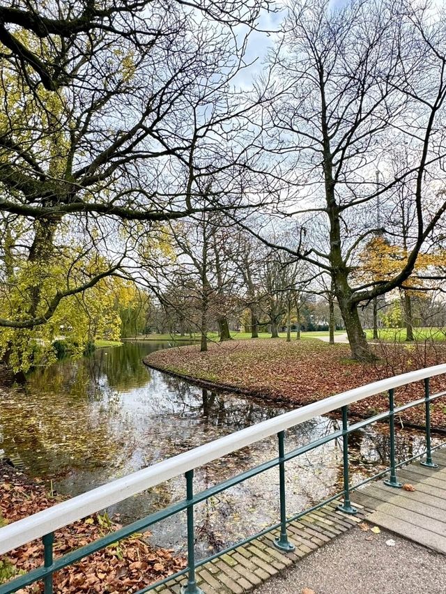 Rotterdam at Christmas – Recommendations for What to Visit (with a festive touch)