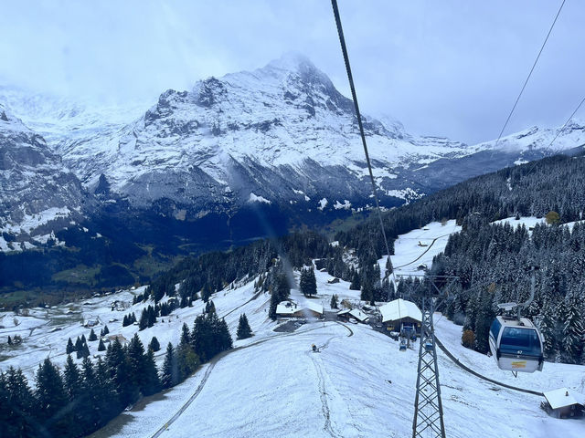 Switzerland! Switzerland!