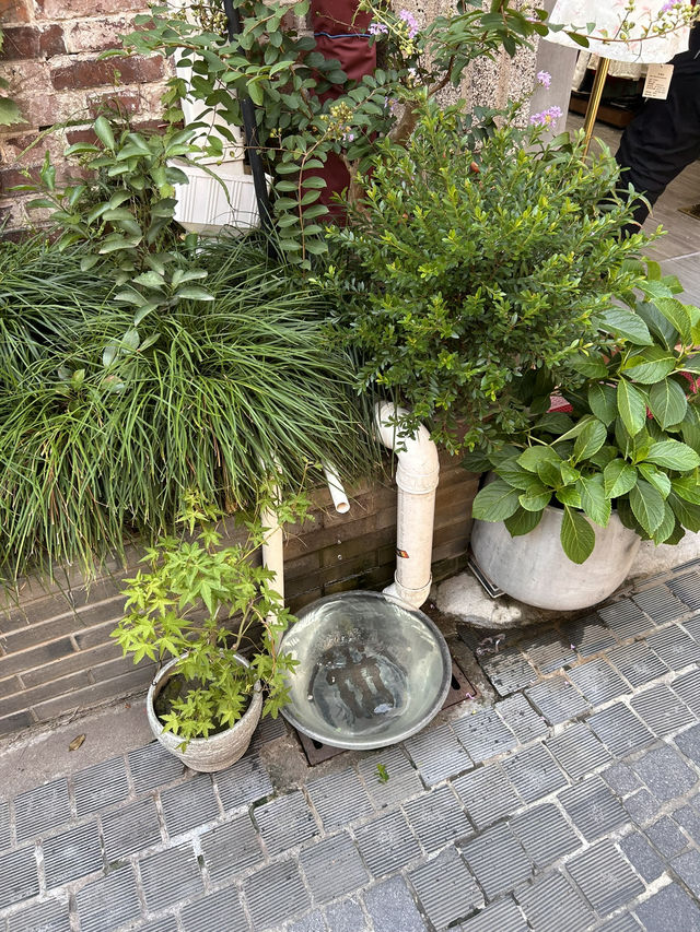 Рынок Tianzifang – Адрес, Цены, оплата UnionPay