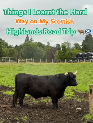 Things I Learnt the Hard Way on My Scottish Highlands Road Trip 🐂🏴󠁧󠁢󠁳󠁣󠁴󠁿