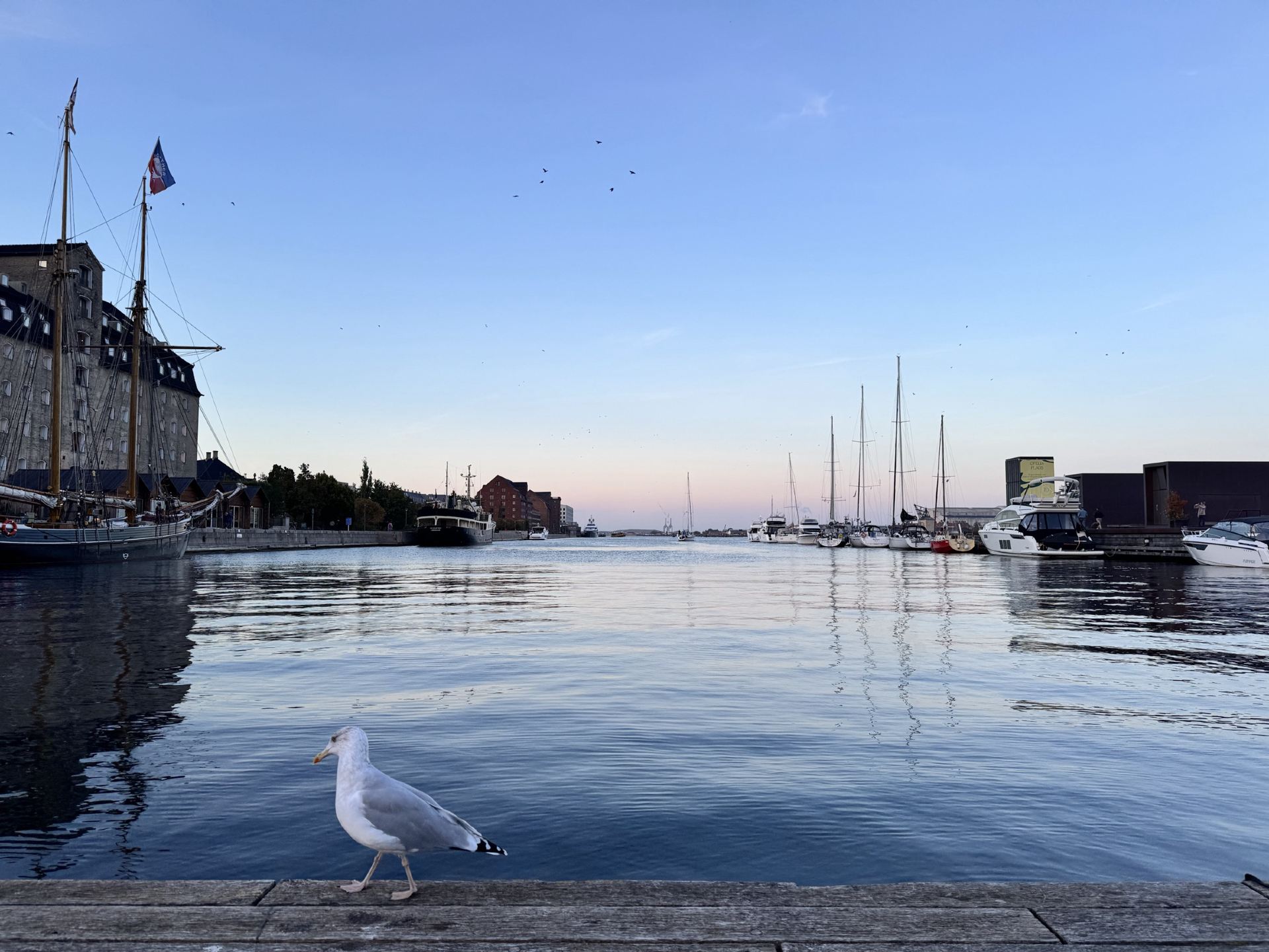 A Fairy-Tale Escape to Nyhavn, Copenhagen: Losing Myself by the Sea