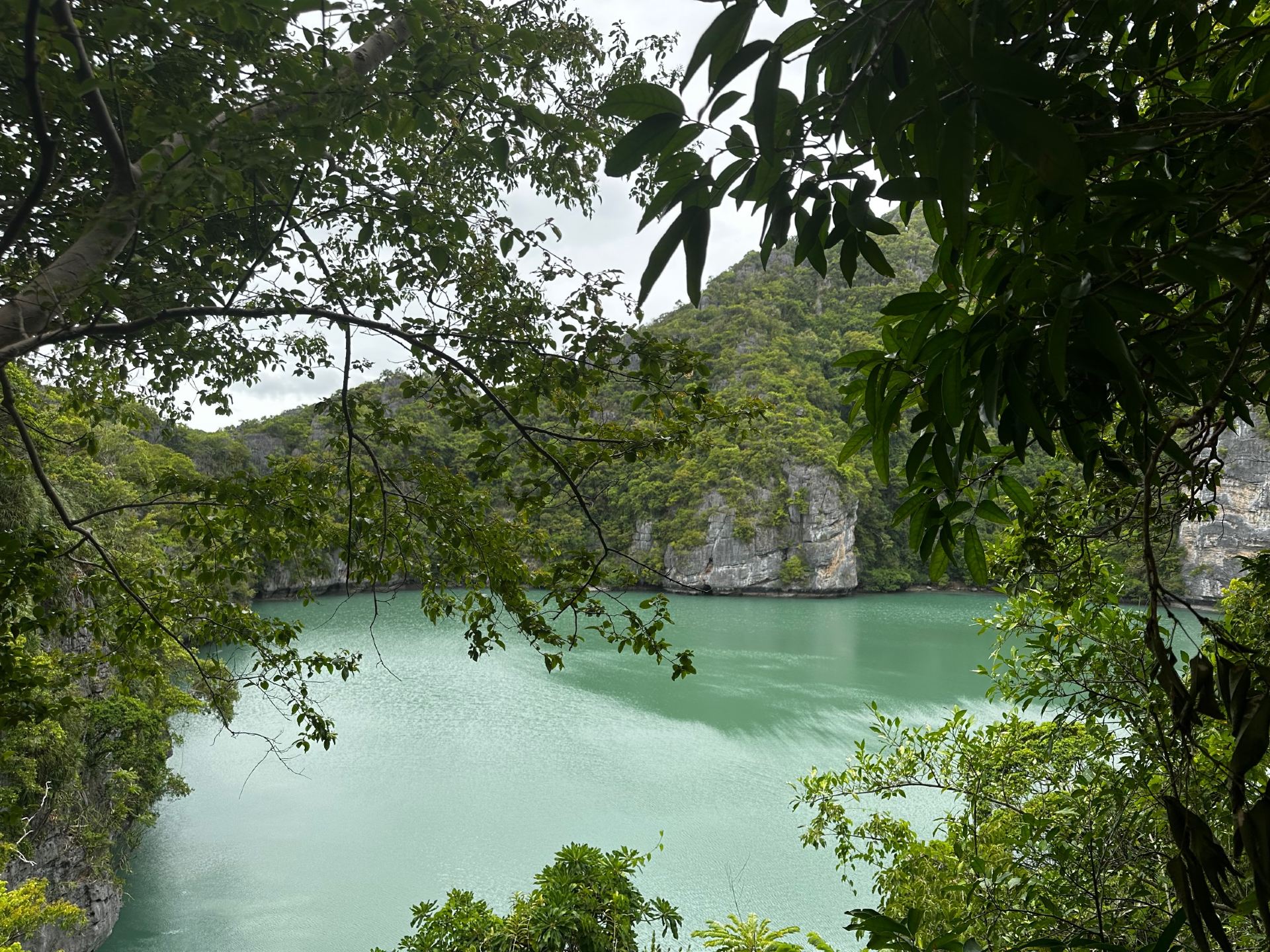 Exploring Mu Ko Ang Thong National Marine Park: A Must-See Natural Wonder in Southern Thailand