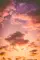 stellan_4861