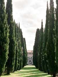 Villa Cetinale 🏰, a stunning Baroque villa in Tuscany.