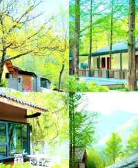 Shaanxi | Collection of beautiful and healing homestays, enjoy a leisurely May Day trip.