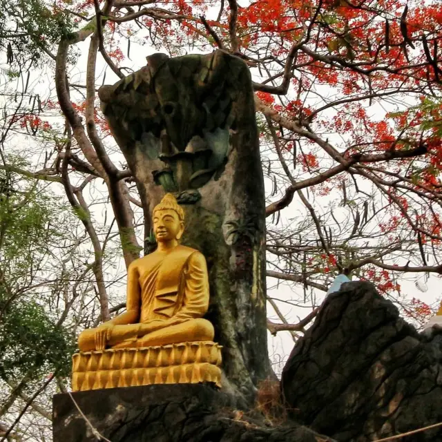 打卡老撾瑯勃拉邦普西山