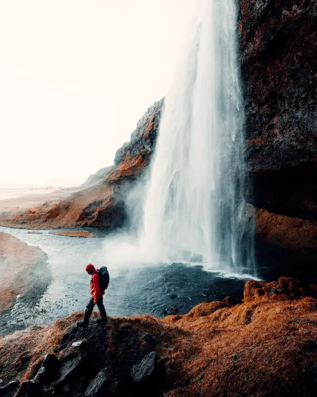 Experience an Icelandic Shower: Seljalandsfoss Waterfall, a Majestic Delight in Iceland