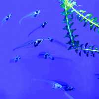 Shanghai | Mysteries Of Underwater 🫧