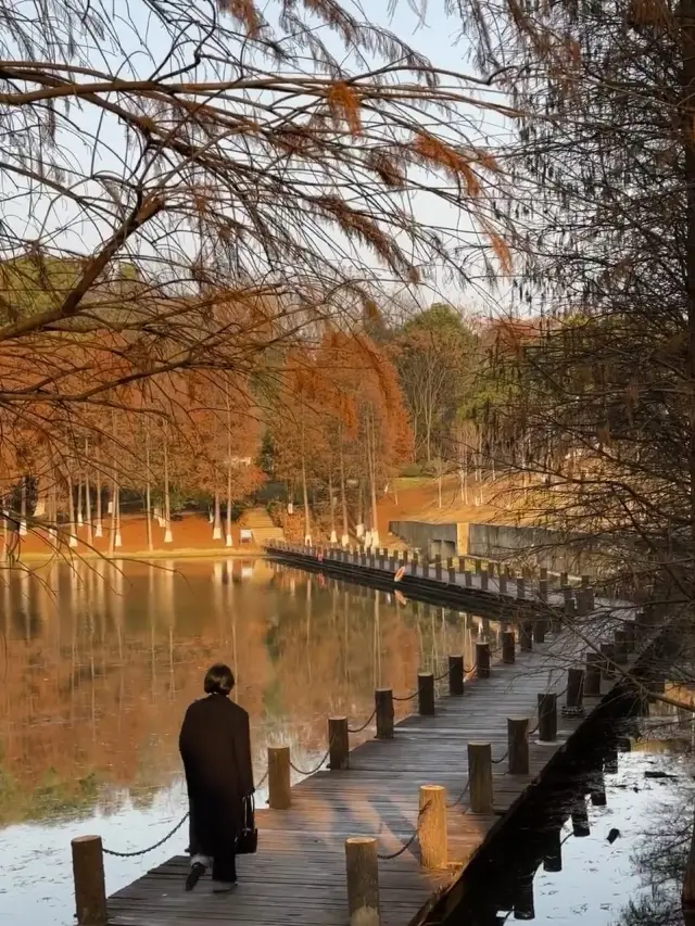 長沙賞秋寶藏地