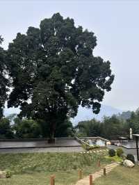 心平能愈三千疾
