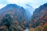 芦山的大深山裡的彩林秘境：大川河