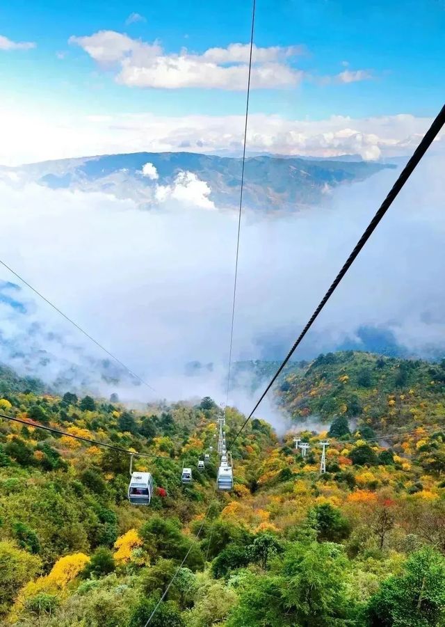 遇見冬日炫烂，遇見多彩涼山