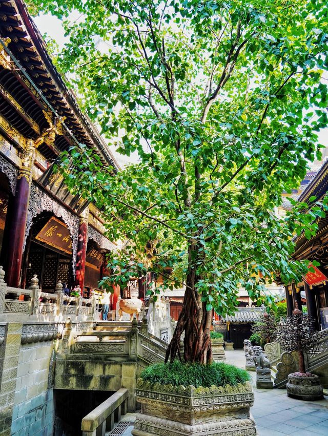 重慶旅遊｜羅漢寺保姆級拍照打卡攻略