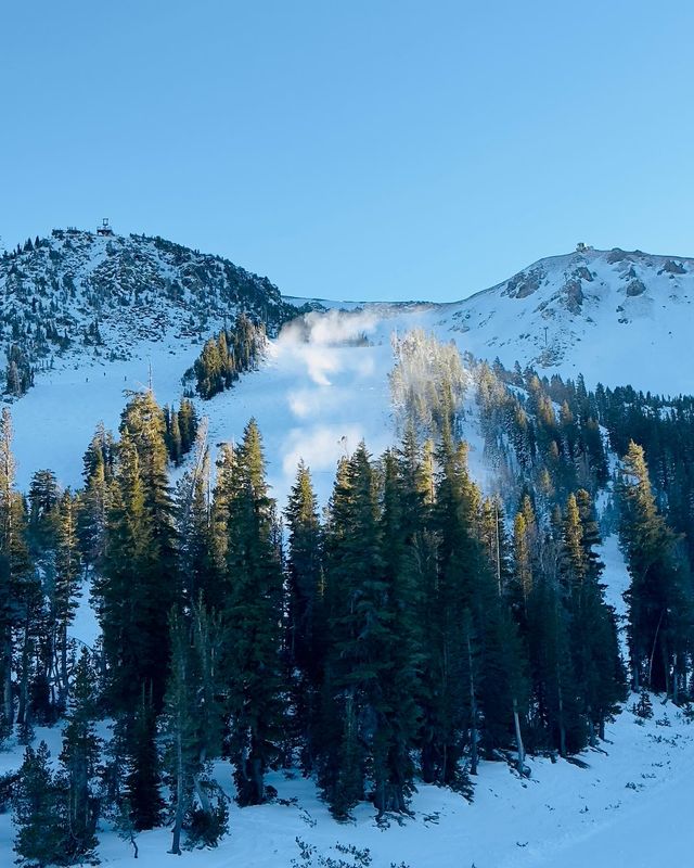 打卡加州滑雪勝地——猛獸山，體驗極致冰雪樂趣