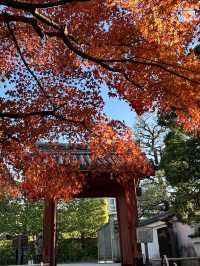 平等院