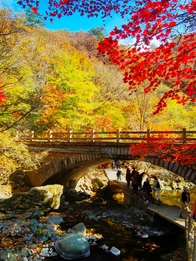 全球追秋我怎會錯過秋天裡的你楓葉之鄉｜Trip.com 本溪縣