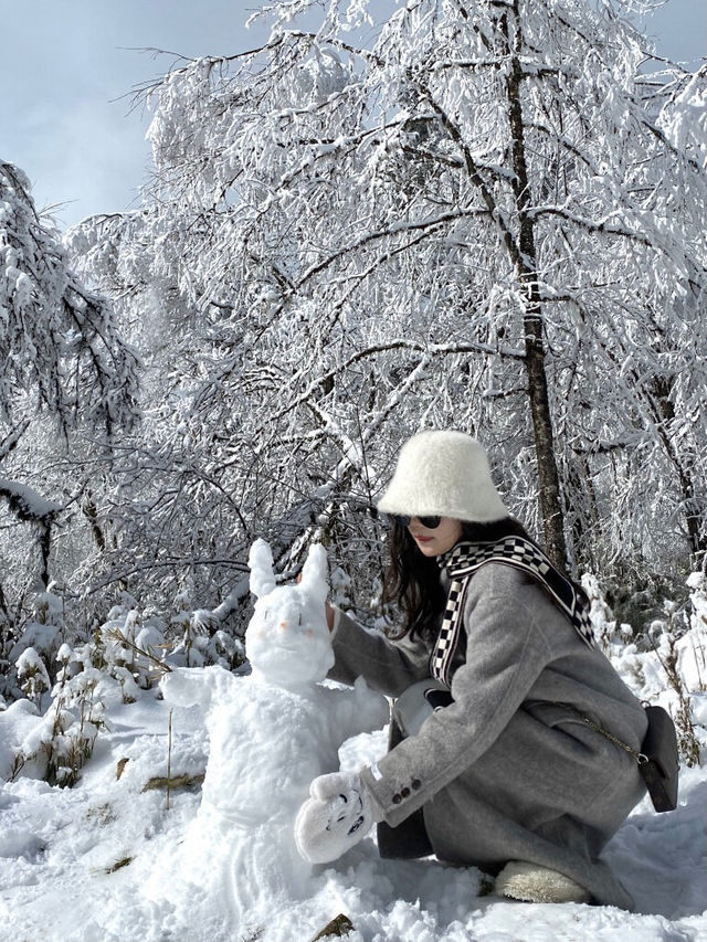 成都出發三小時看雪｜一起去雪山上喝咖啡吧|||