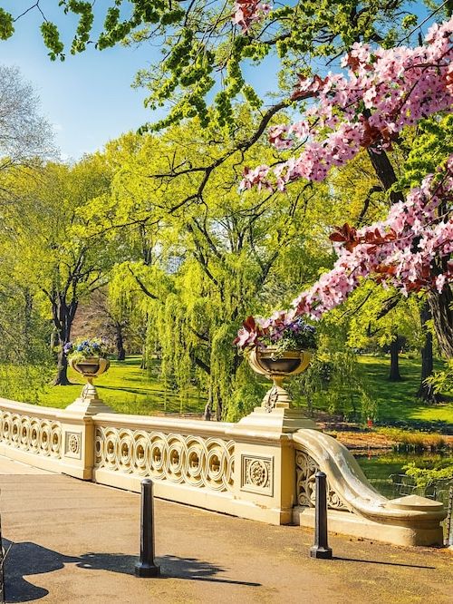 在紐約，住在中央公園是種什麽體驗🌳🏙️