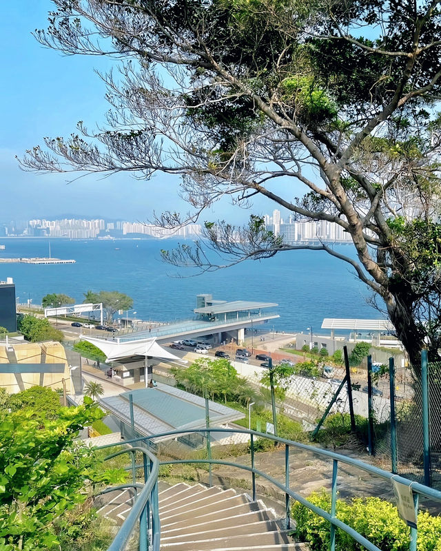 姊妹們香港！這才是看海該去的地方