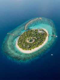 馬爾代夫嘅哈達哈島（Hadahaa）係一個真正嘅浮潛天堂。