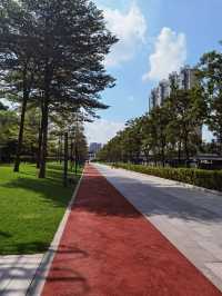 磨碟沙公園||可以欣賞廣州塔的體育公園