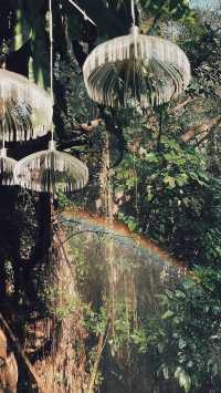 來青青世界感受熱帶雨林的魅力！