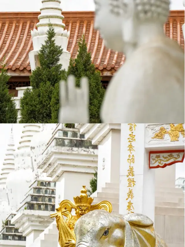 I made a special trip to Mianyang for these two temples