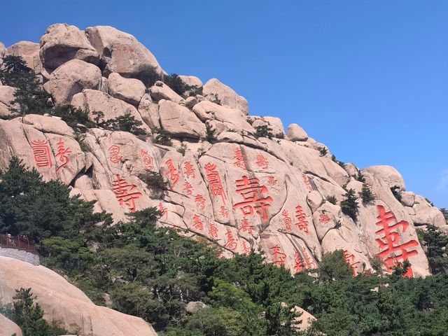 尋找“天下第一壽”——崂山仰口風景遊覽區