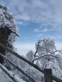 人生建議一定要在冬天去一次峨眉山