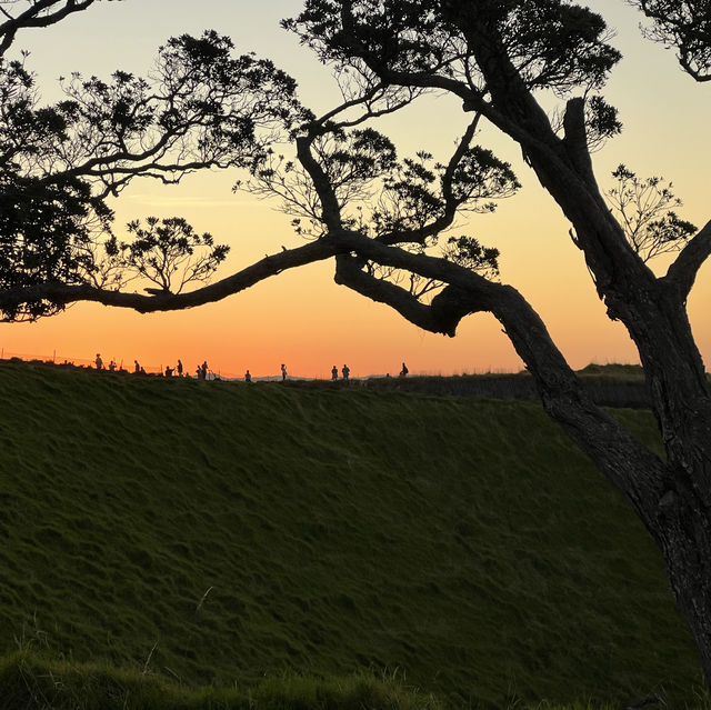 Dormant volcanoes and city views in Auckland!