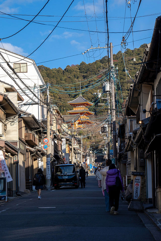 京都旅行必打卡，人氣爆棚的千年古剎