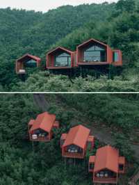 杭州周邊現實版綠野仙踪，住進北歐風樹屋