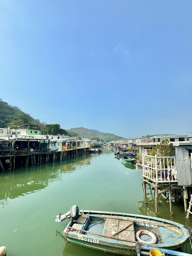 香港🇭🇰｜徒步東澳古道，俯瞰港珠澳大橋