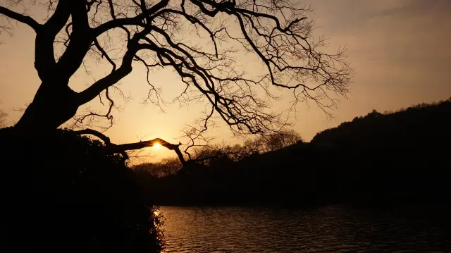 Yue Temple on Solitary Hill, plum groves in the evening glow