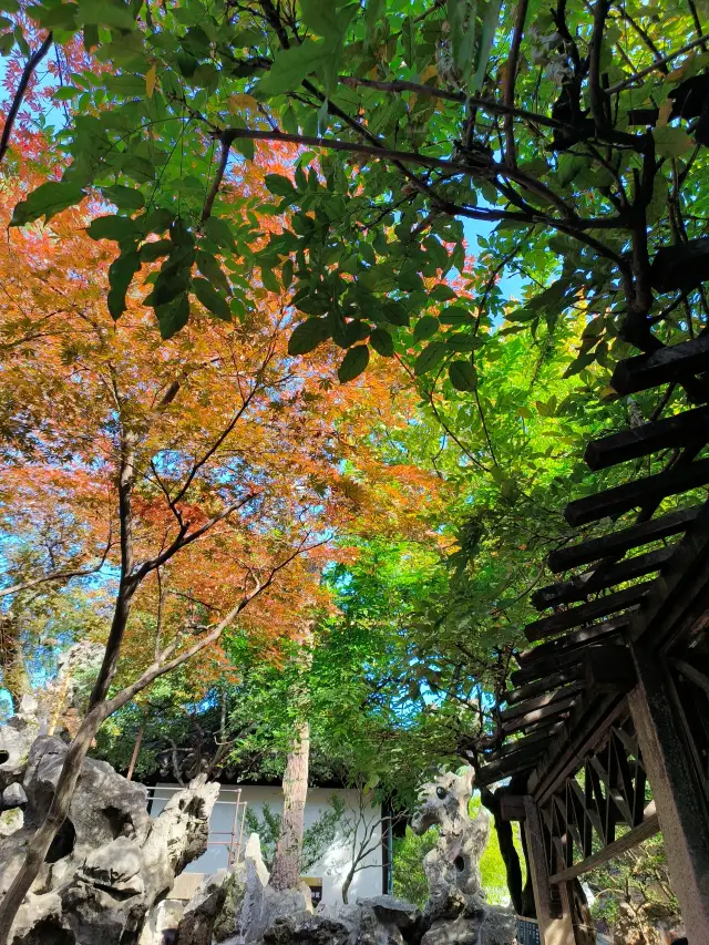 Locals tell you, one garden in Suzhou is enough!