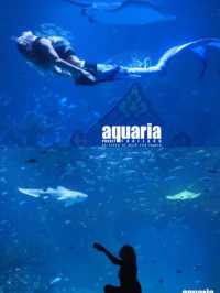布吉島最大水族館開業-💫親子溜娃好去處