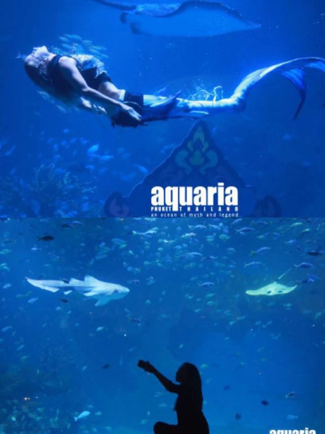 布吉島最大水族館開業-💫親子溜娃好去處