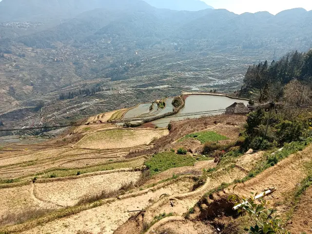 Yuanyang Hani Rice Terraces