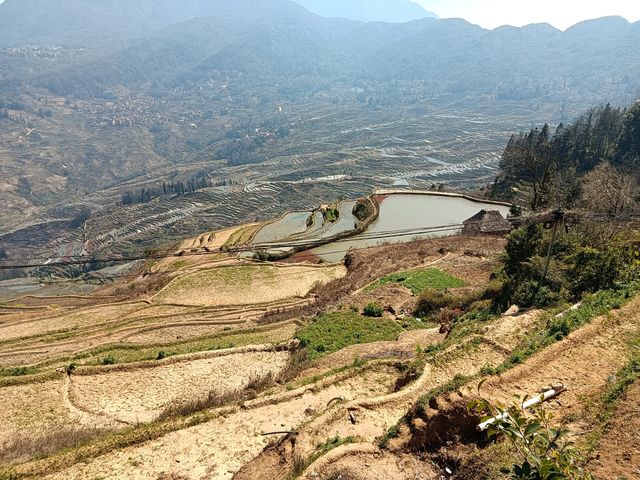 元陽哈尼梯田