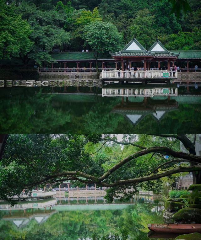 山城小姑蘇，人間重晚晴重慶 Citywalk