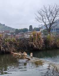 留住鄉村記憶的狀元故里，王澍親自操刀的“最美農村房”