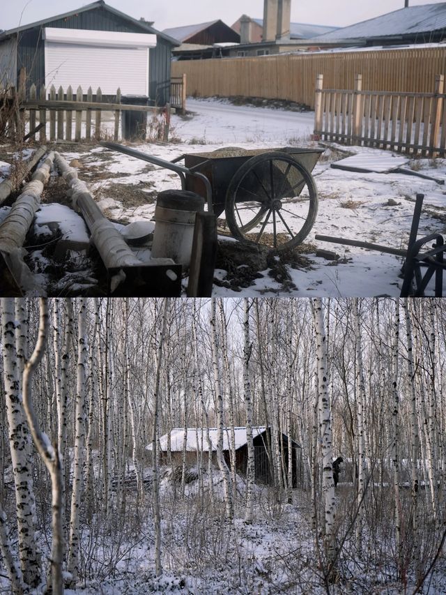 北極村的冰雪奇緣，你體驗過了嗎？嘿，朋友們