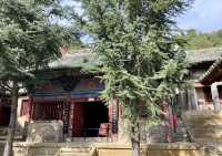 清涼若蘭的「開化寺」
