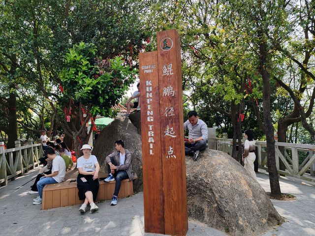 攀登深圳十峰之一的鳳凰山