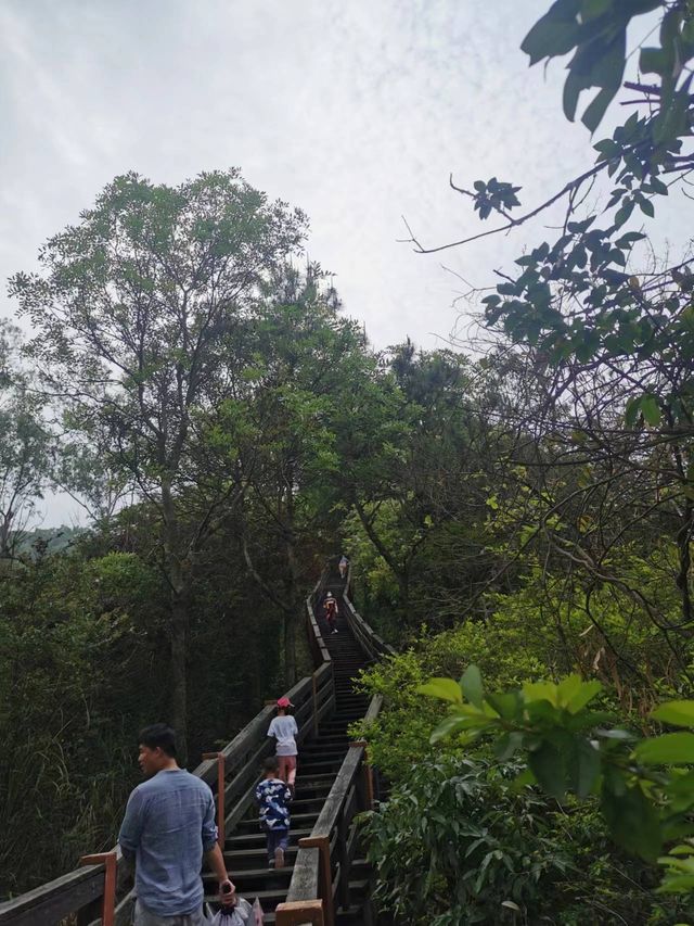 就在東莞南城，親子爬山好去處