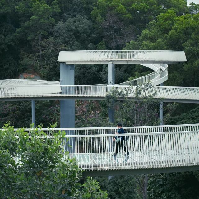 深圳踏青|穿行在城市山林中的天空之境