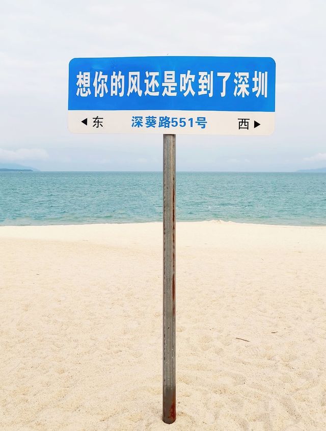 打卡-深圳玫瑰海岸